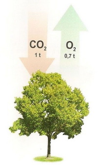 recyklacia